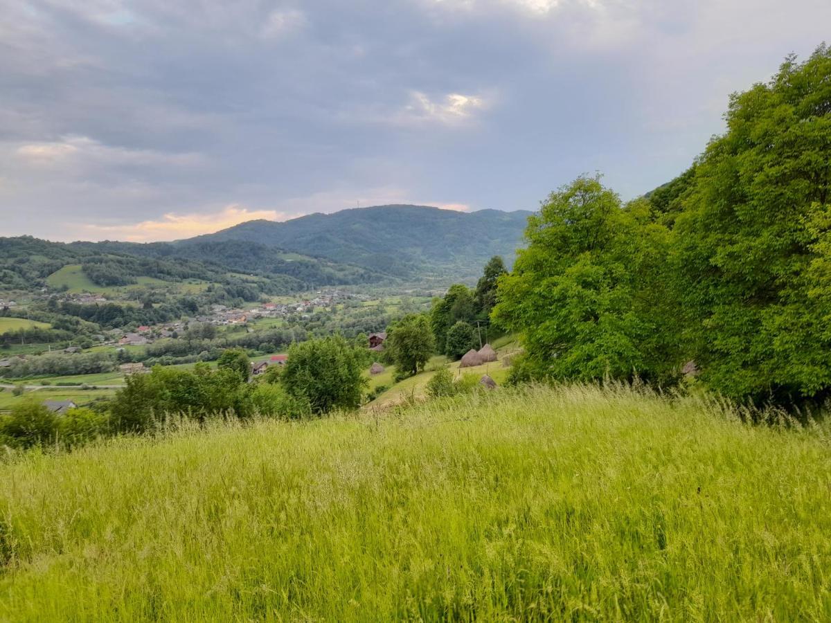 Cabana Din Revier Вишеу де Жос Екстериор снимка